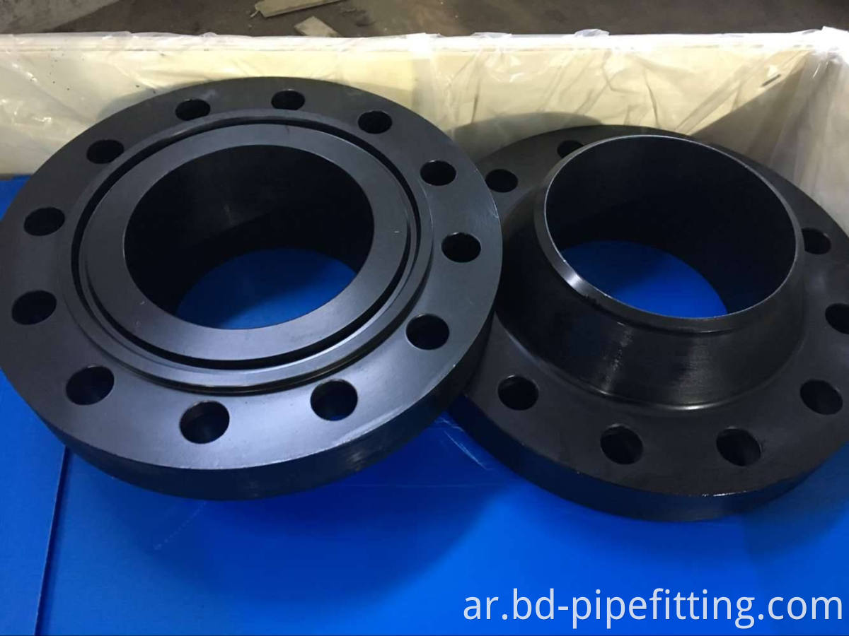 Stainless Steel Forged Flanges